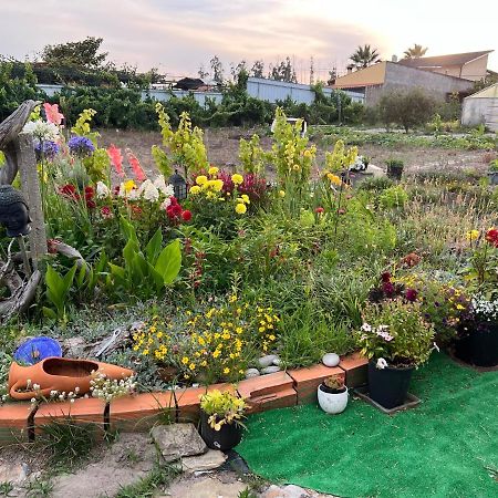 CarvideBeautiful Little Country House别墅 外观 照片