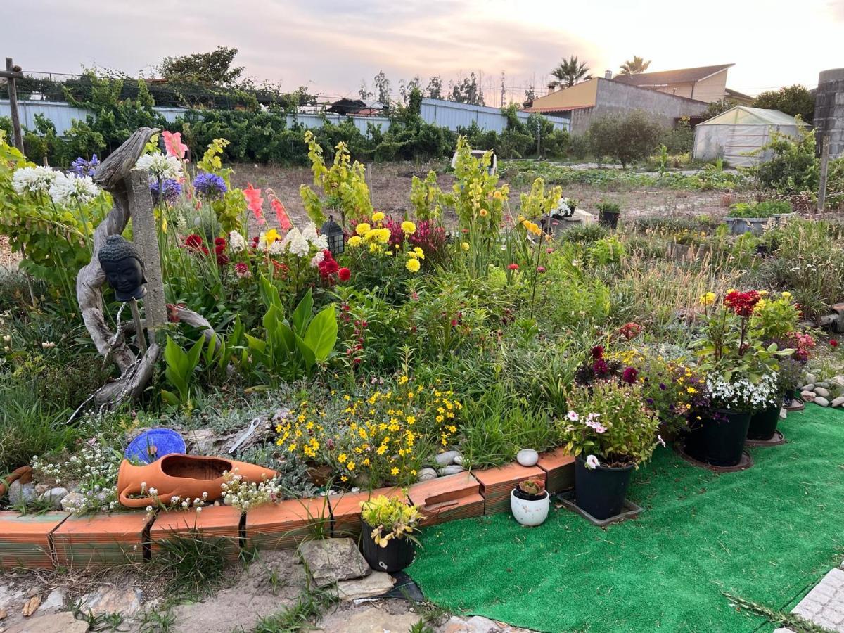 CarvideBeautiful Little Country House别墅 外观 照片