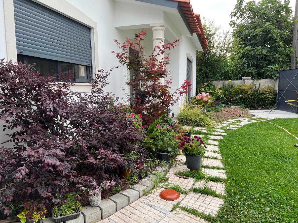 CarvideBeautiful Little Country House别墅 外观 照片